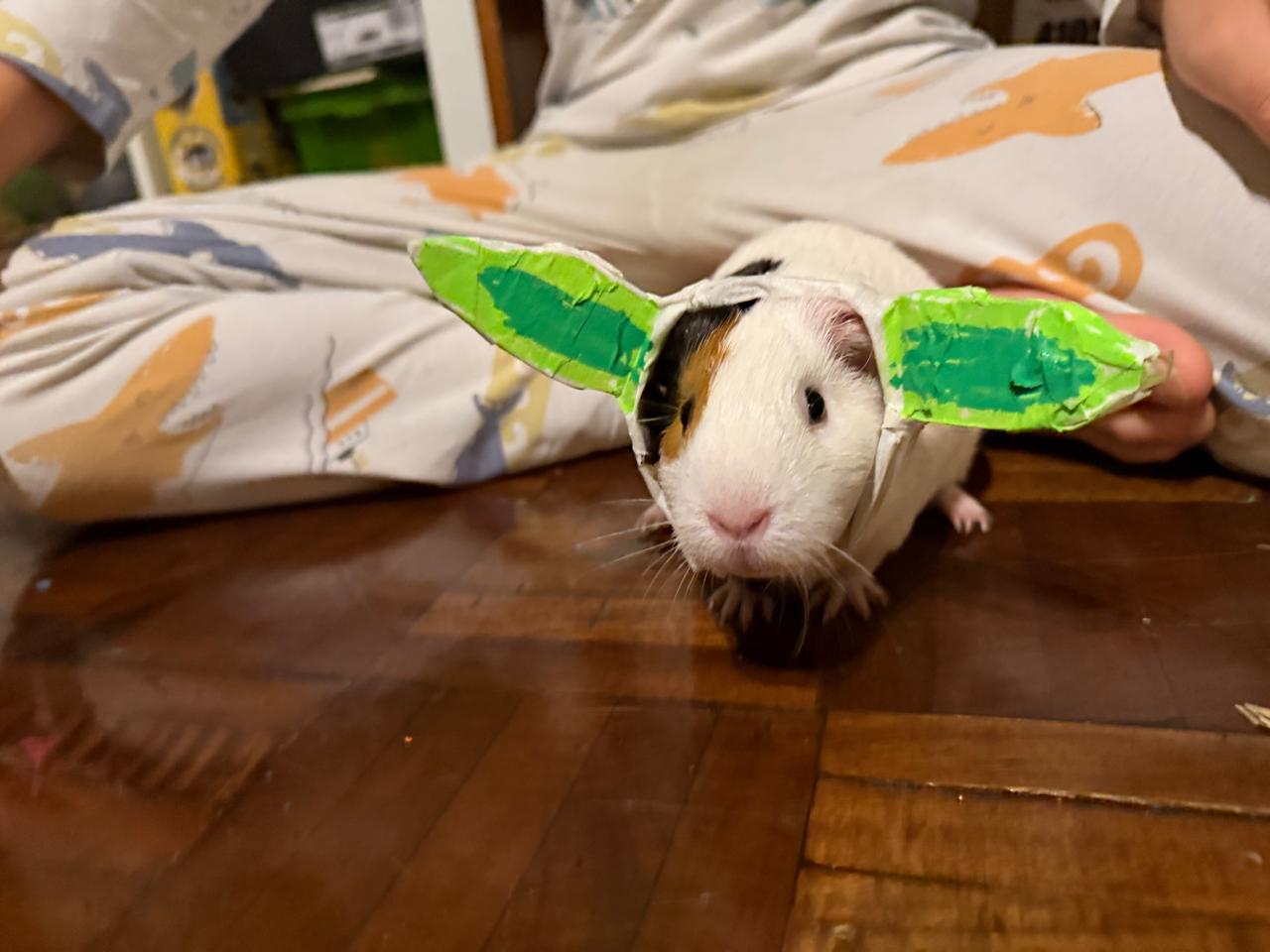 Dona disfrazada de Yoda